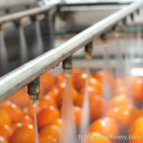 Compléter la ligne de production automatique des jus de fruits frais naturels